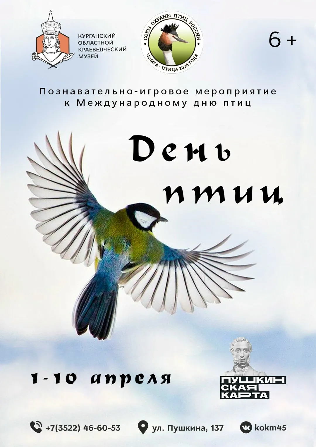 «День птиц»